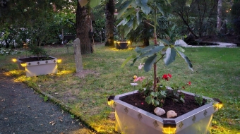 2000_689_bacjardin_crop