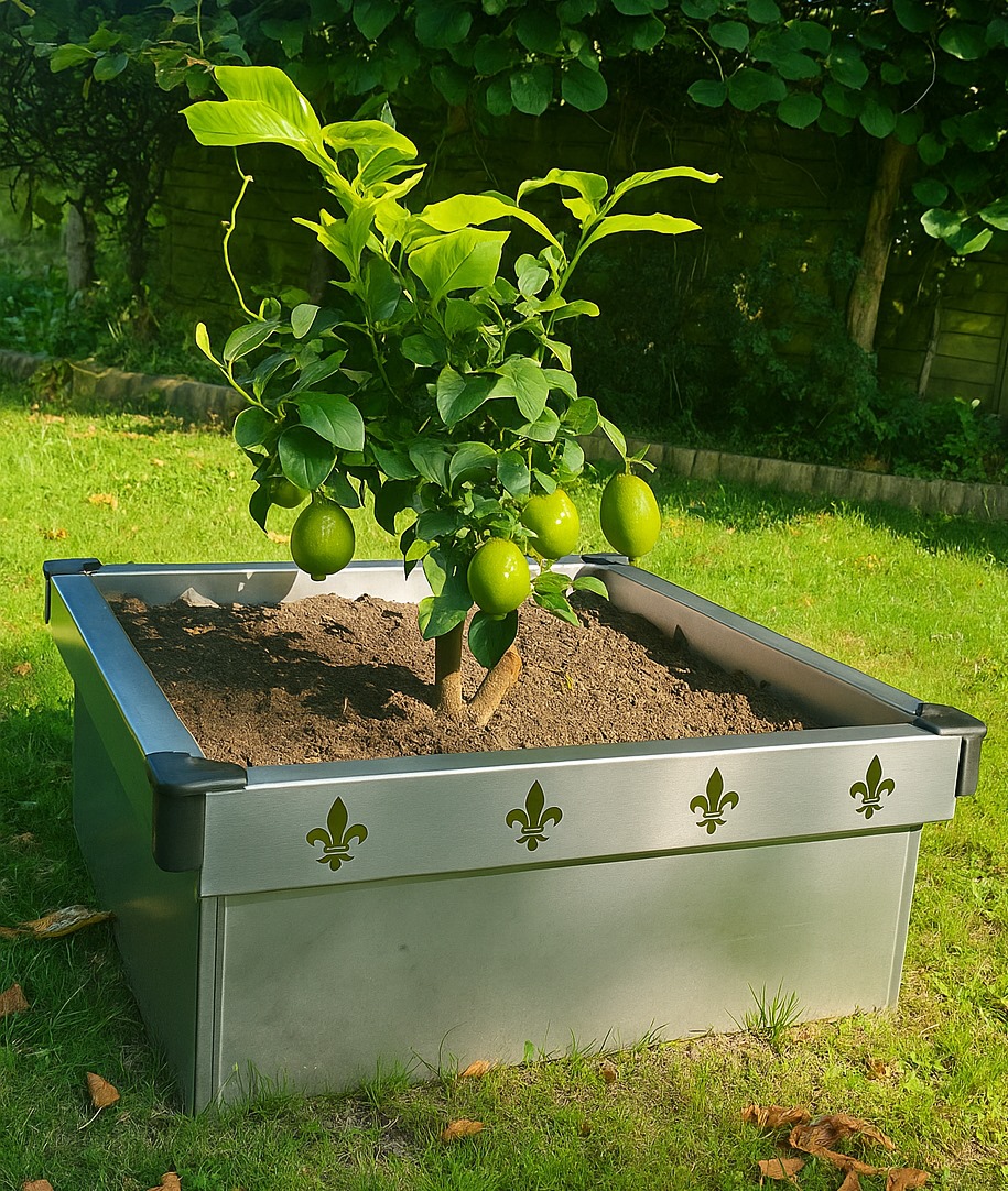 EleganceIntemporelle