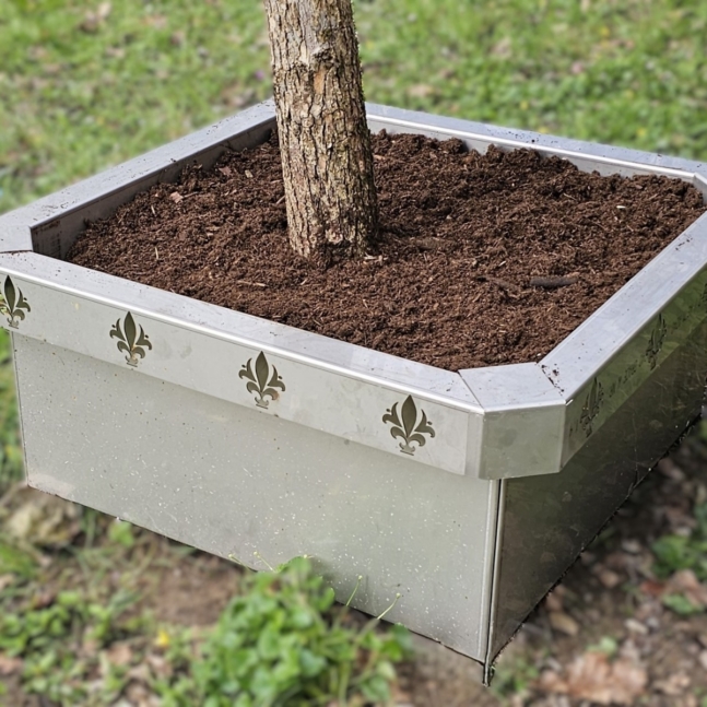 WhatsApp Image 2025-11-15 at 17.11.05