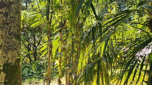 WhatsApp Image 2025-11-15 at 17.11.53