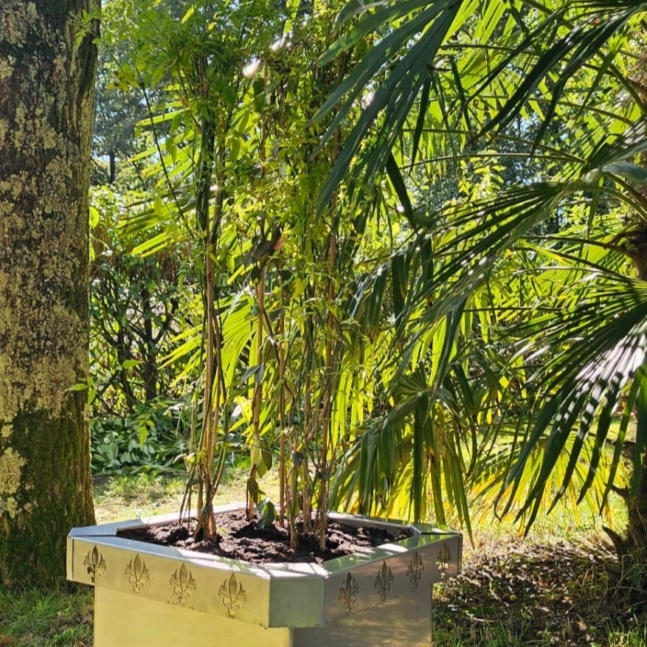 WhatsApp Image 2025-11-15 at 17.11.53