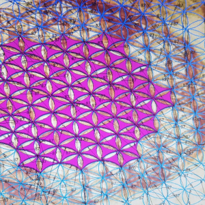 fleur de vie Neolys Leonard de Vinci de Mouglalis