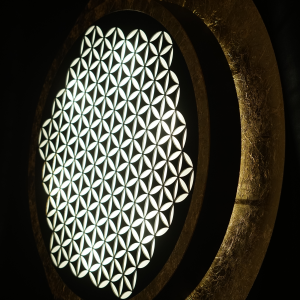 luminaire neolys 1.0